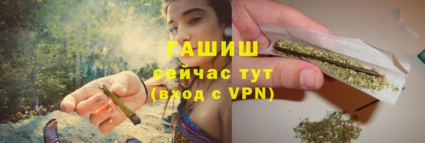 PSILOCYBIN Белокуриха